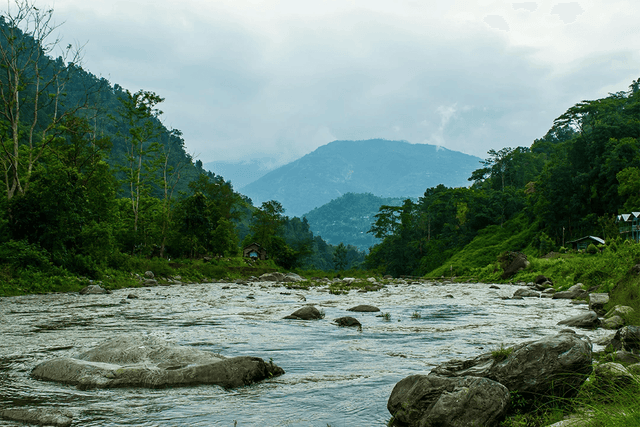 Sikkim Nature